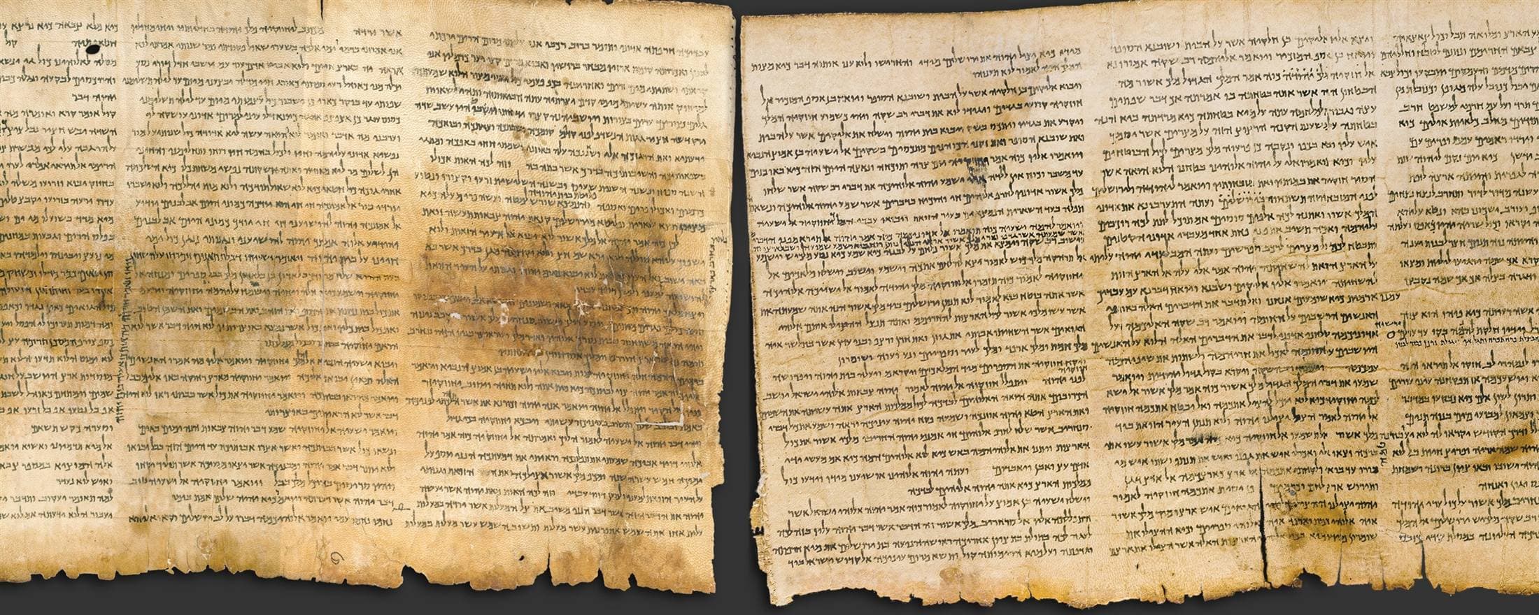 A detail of the Great Isaiah Scroll, one of the Dead Sea Scrolls